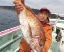 大マダイ