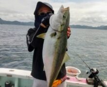 ブリ７．１kg