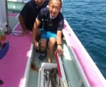 アジ五目