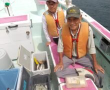 アジ五目泳がせ