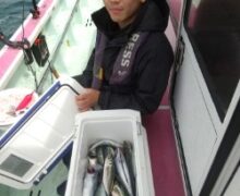 ブリ・ワラサ食い活発