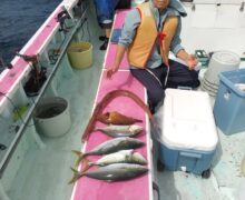 アジ落とし込み