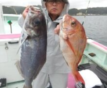 マダイ船