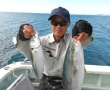 アジ落とし込み