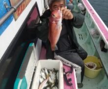 アジ落とし込み泳がせ