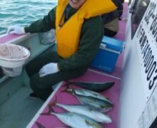 カンパチ＆イナダ絶好調