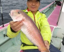 ありがとうございました