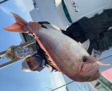 超ドデカッモンスター！