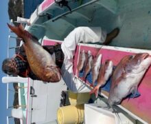 モンスター連発！