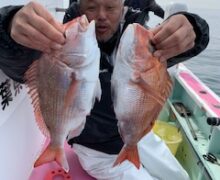 マダイ乗っ込み中