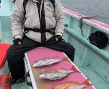 マダイ乗っ込み中！