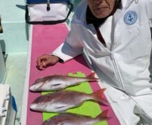 モンスター連発！