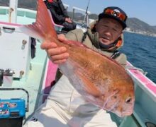 マダイ乗っ込み中！