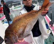 連日モンスター乗っ込み中！