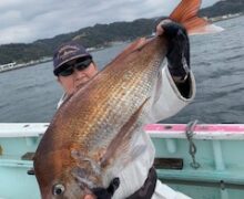 連日モンスター乗っ込み中！