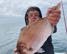 連日モンスター！