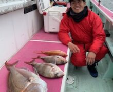 マダイ乗っ込み中