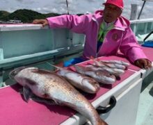 マダイ乗っ込み中！