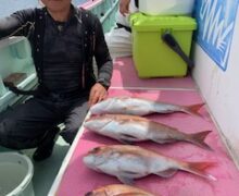 Bigマダイ乗っ込み中！