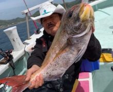 マダイ乗っ込み中！