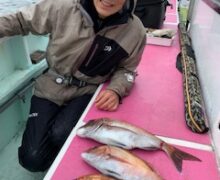 マダイ乗っ込み中！