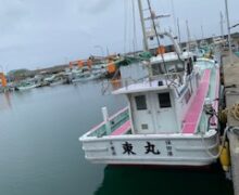 アジ五目（泳がせOK）