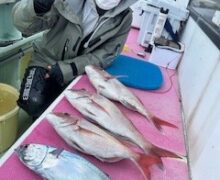 マダイ船