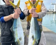 アジ泳がせ仕立船